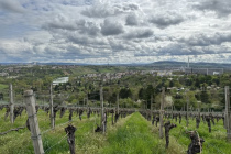 Fruehjahrsspaziergang_2023_04_14