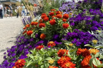 Gartenschau_Balingen_2023_63