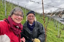 Vereinsweinberg_2023-03_03
