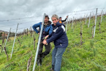 Vereinsweinberg_2023-03_06