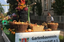 Volksfestumzug_2017_01