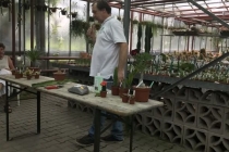 Vorsommerspaziergang_2018_14
