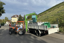 Weinlese_2023-10-03_09